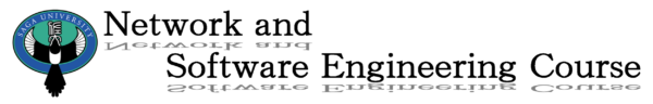 Network and Software Engineering Course